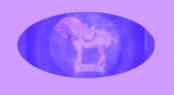 antiques_vintage_collectors_clubs_stamp_coin_glass_porcelain_pottery_collecting_club001008.jpg
