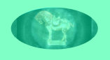 antiques_vintage_collectors_clubs_stamp_coin_glass_porcelain_pottery_collecting_club001010.jpg